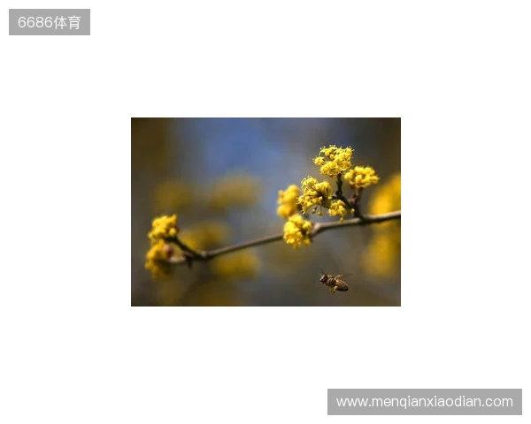 布达佩斯Major第一阶段：战舰轰鸣！FaZe 2-1 RED Canids